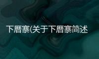 下厝寨(關于下厝寨簡述)