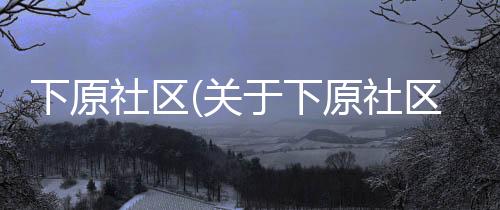 下原社區(關于下原社區簡述)