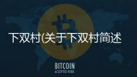 下雙村(關于下雙村簡述)