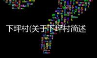 下坪村(關(guān)于下坪村簡(jiǎn)述)