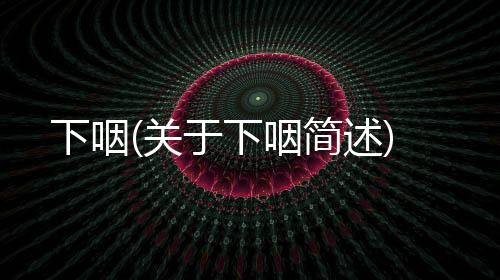 下咽(關于下咽簡述)