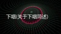 下咽(關于下咽簡述)