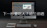 下一秒要吃人？哈蘭德曬萬圣節(jié)造型 恐怖氛圍拉滿了