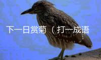 下一日賞菊 （打一成語）