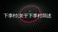 下李村(關(guān)于下李村簡(jiǎn)述)