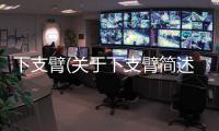 下支臂(關(guān)于下支臂簡述)