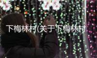 下梅林村(關(guān)于下梅林村簡述)