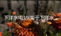 下洋水電站(關于下洋水電站簡述)