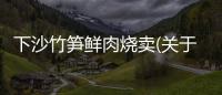 下沙竹筍鮮肉燒賣(關于下沙竹筍鮮肉燒賣簡述)