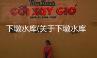 下墩水庫(關于下墩水庫簡述)