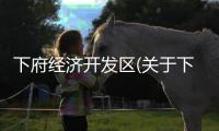 下府經濟開發區(關于下府經濟開發區簡述)