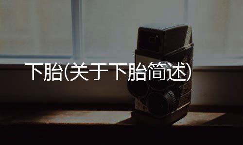 下胎(關于下胎簡述)