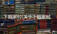 下魏家村(關(guān)于下魏家村簡述)