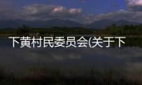 下黃村民委員會(關于下黃村民委員會簡述)