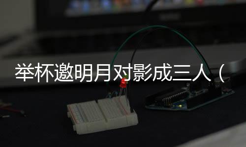 舉杯邀明月對影成三人（關于舉杯邀明月對影成三人的基本情況說明介紹）