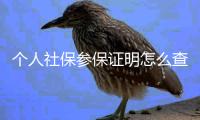 個人社保參保證明怎么查詢？