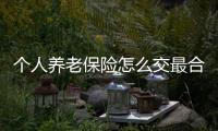 個人養老保險怎么交最合理
