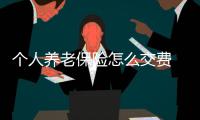 個人養(yǎng)老保險怎么交費 農(nóng)村個人養(yǎng)老保險多少錢