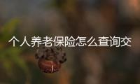 個人養老保險怎么查詢交了幾年