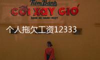個人拖欠工資12333會怎么處理（拖欠工資12333會怎么處理）