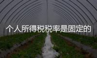 個人所得稅稅率是固定的（個人所得稅稅率是多少）