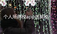 個人所得稅app退契稅操作流程（退個人所得稅流程）