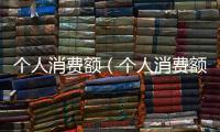 個人消費額（個人消費額度貸款）