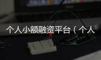 個人小額融資平臺（個人小額貸款）