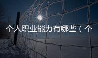 個人職業(yè)能力有哪些（個人職業(yè)技能有哪些）