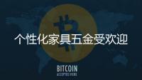 個(gè)性化家具五金受歡迎