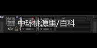中環桃源里/百科