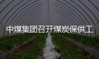 中煤集團(tuán)召開煤炭保供工作推進(jìn)會(huì)