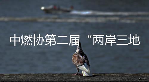 中燃協(xié)第二屆“兩岸三地”燃?xì)庹搲诔啥寂e行