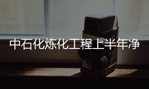 中石化煉化工程上半年凈利17億 新型煤化工收入增長74%