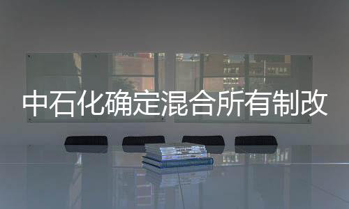 中石化確定混合所有制改革下一站