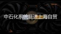 中石化系統挺進上海自貿區 首家經營單位開業
