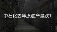 中石化去年原油產量跌13% 天然氣產量升4.3%