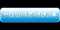 中石化公布混改引資方案 國內產業投資者優先