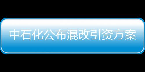 中石化公布混改引資方案 國(guó)內(nèi)產(chǎn)業(yè)投資者優(yōu)先
