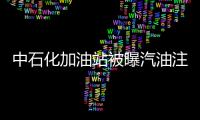 中石化加油站被曝汽油注水高達(dá)80% 豪車相繼趴窩熄火【綜合】風(fēng)尚中國(guó)網(wǎng)
