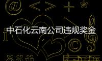 中石化云南公司違規獎金已退還