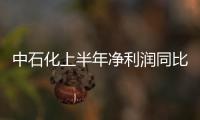 中石化上半年凈利潤同比下降超兩成
