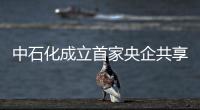 中石化成立首家央企共享服務公司