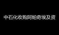 中石化收購(gòu)阿帕奇埃及資產(chǎn)三分之一權(quán)益