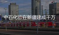 中石化欲在新疆建成千萬噸級大油氣田