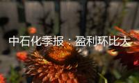 中石化季報：盈利環比大幅改善 價改預期是催化劑