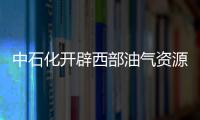 中石化開辟西部油氣資源戰略主戰場