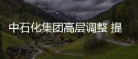 中石化集團高層調(diào)整 提升兩副總主管勘探和銷售