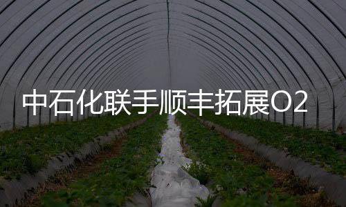 中石化聯(lián)手順豐拓展O2O等新興業(yè)務(wù)