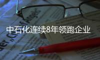 中石化連續(xù)8年領(lǐng)跑企業(yè)500強(qiáng)榜單